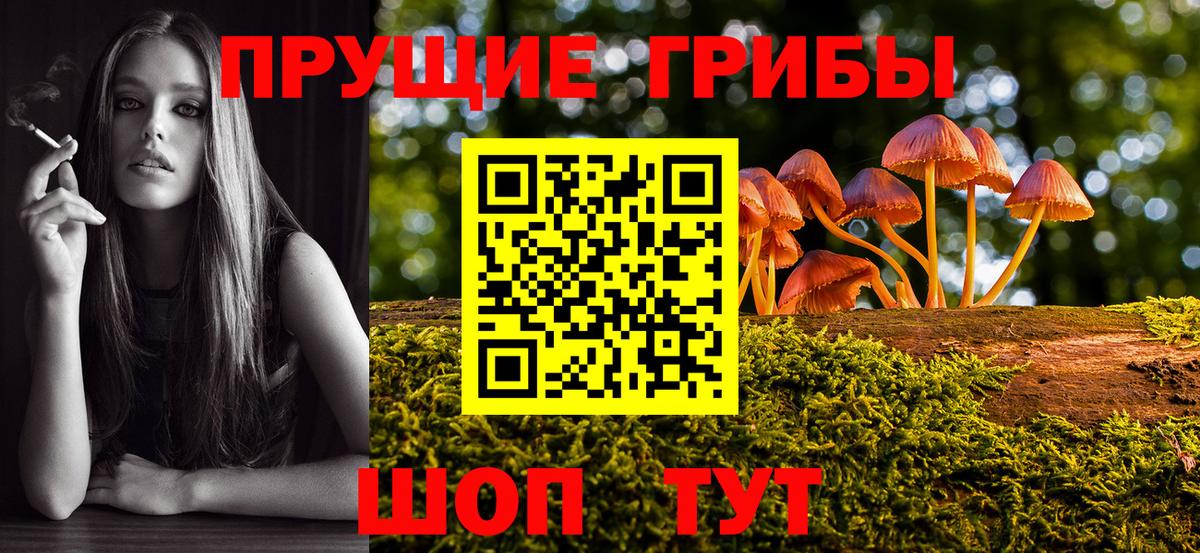 Псилоцибиновые грибы ЛСД  Псилоцибиновые грибы GOLDEN TEACHER  Зеленодольск  Вход с VPN 
