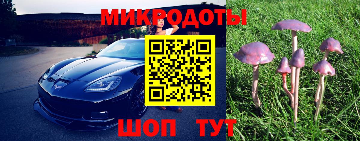 Псилоцибиновые грибы ЛСД Зеленодольск